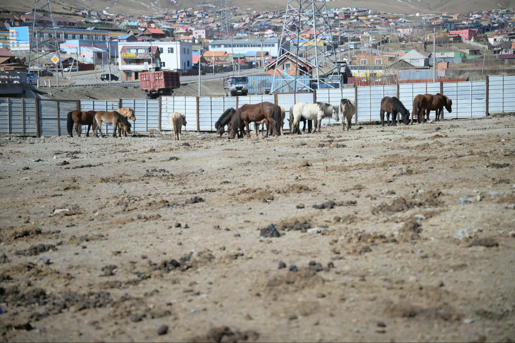 НИЙСЛЭЛИЙН ХОРИОТОЙ БҮСЭЭС МАЛ ГАРГАНА